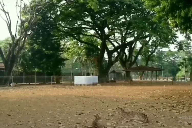 Ket Foto: Taman Kemang Pratama di Jawa Barat