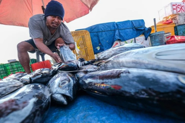 Ket. Foto: Sektor Perikanan Disebutkan Memiliki Peran Strategis dalam Mendukung Perekonomian Nasional