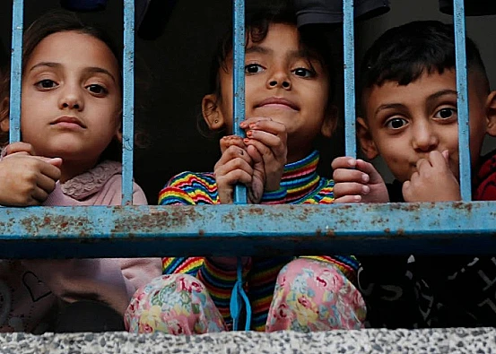 Ket. Foto: Domba Digembalakan oleh Pemukim Penjajah Israel di Tanah Milik Warga Palestina di Lembah Yordan Utara