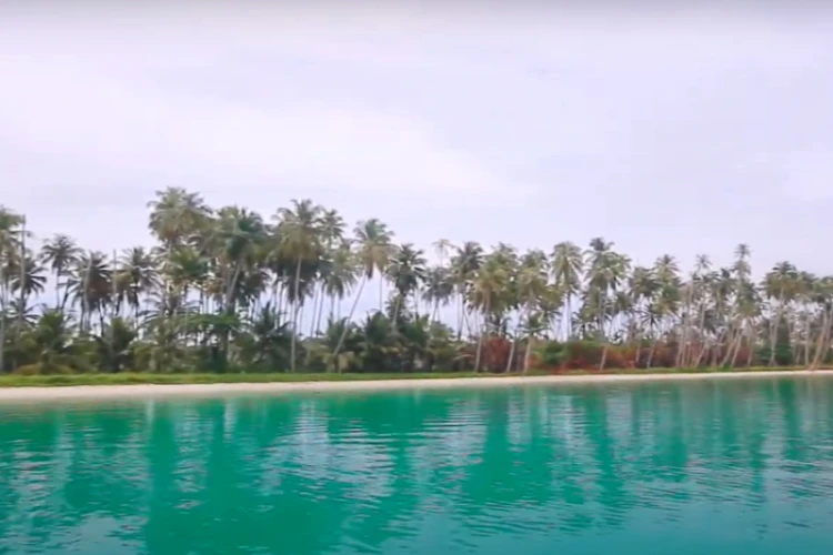 Ket Foto: Pulau Tailana dengan Pesona Alam Memikat dan Pemandangan Luar Biasa