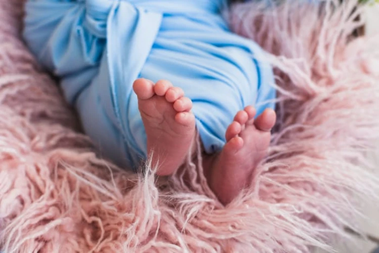 Janin bayi terbungkus kardus ditemukan di Cengkareng, Jakarta Barat, menggugah empati dan kepedulian masyarakat.