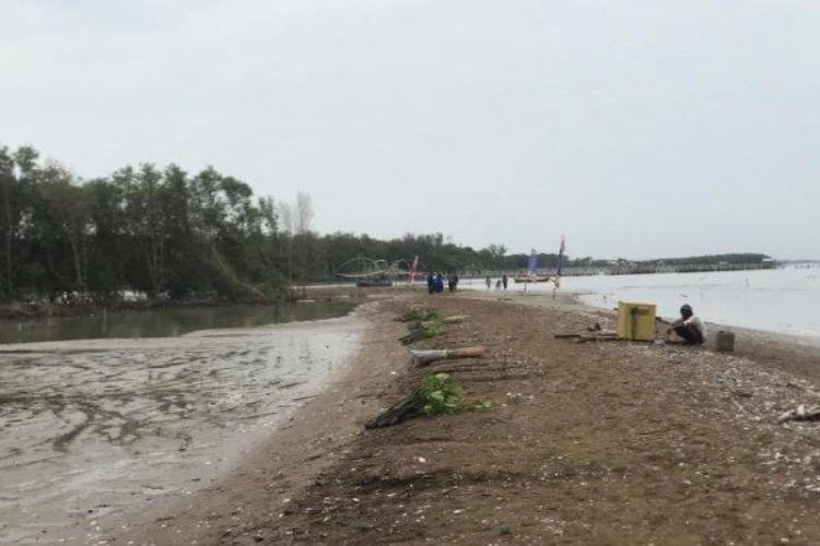 Ket Foto: Foto dari objek wisata Pulau Arnavat, Demak (Foto/Web/pariwisata.demakkab.go.id)
