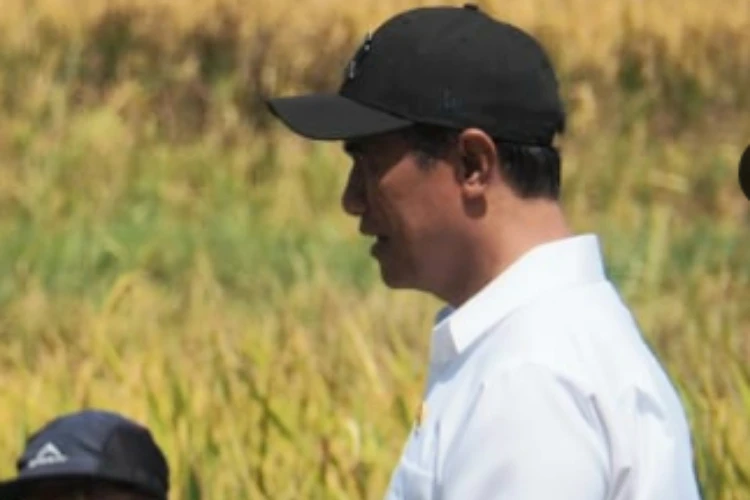 Menteri Pertanian Stategi dalam mengatasi penurunan kuota pupuk