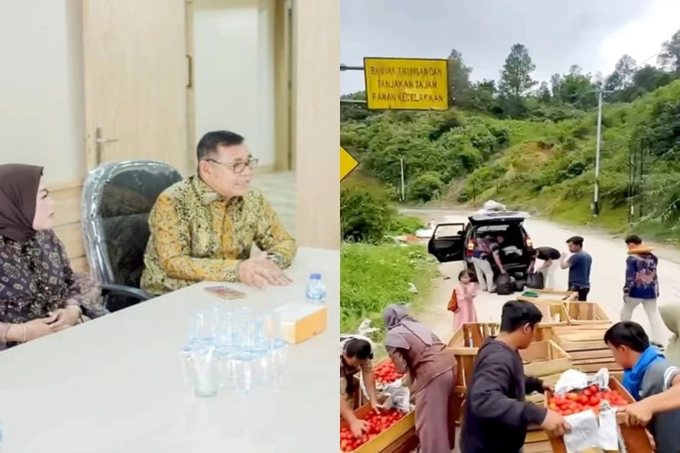 Bupati Solok gerak cepat tanggapi video petani tomat membuang hasil panennya viral di media sosial.