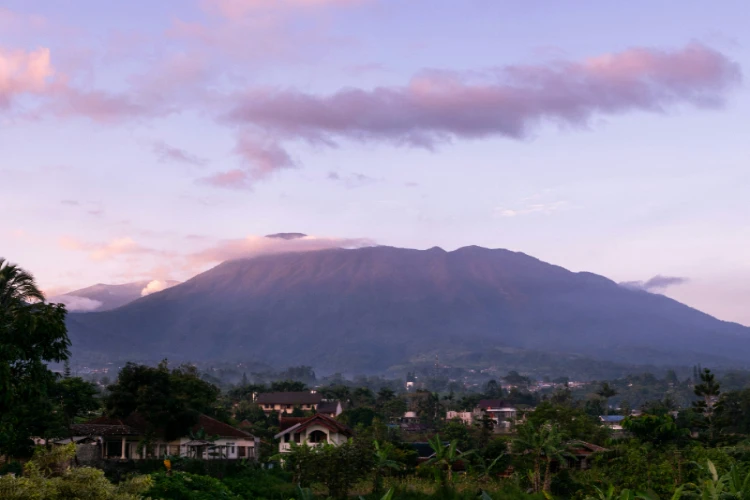 Ket. Foto: Kawasan Suaka Margasatwa Dataran Tinggi Gunung Argopuro Mengalami Kebakaran