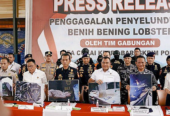 Tim gabungan Bareskrim Polri dan DJBC Kepulauan Riau menggagalkan penyelundupan benih lobster bernilai Rp15 miliar.