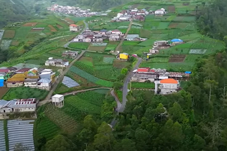 Ket Foto: Desa Wisata Wonomulyo di Magetan