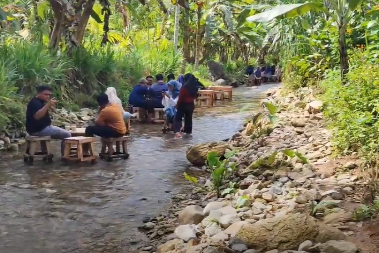 Ket Foto: Jejak Rimba Raya
