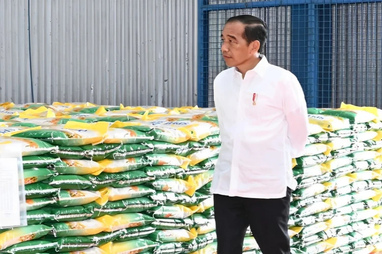 Ket. Foto: Presiden Jokowi Menyatakan Kota yang Baik di Masa Depan Adalah Kota yang Hijau dan Bukan High Risk Building