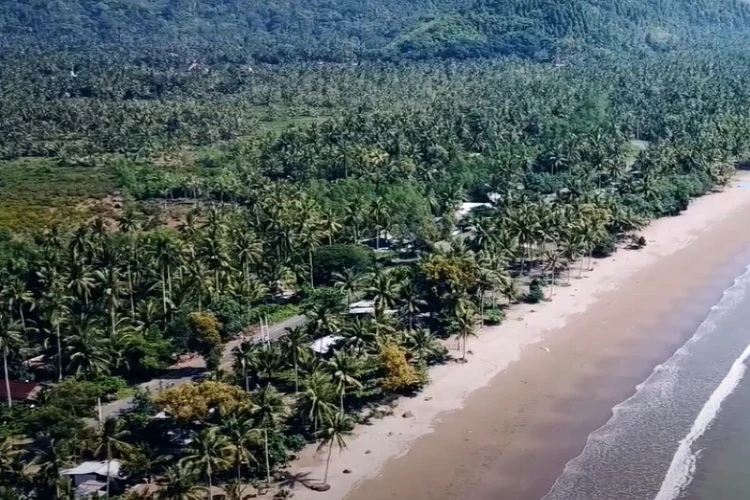 Ket Foto: Hutan Mangrove Pancer Cengkrong di Trenggalek