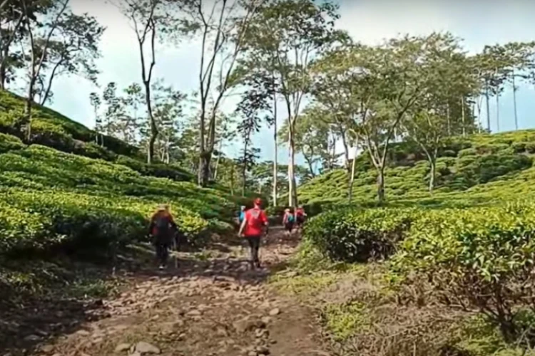 Ket Foto: Bukit Budug Asu