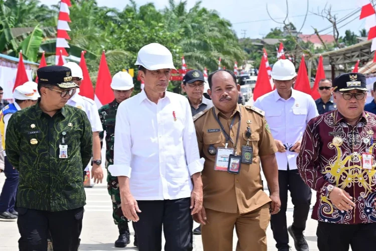 Ket. Foto: Presiden Jokowi Dikabarkan Telah Secara Resmi Menaikkan Tunjangan Kinerja Pegawai KLHK