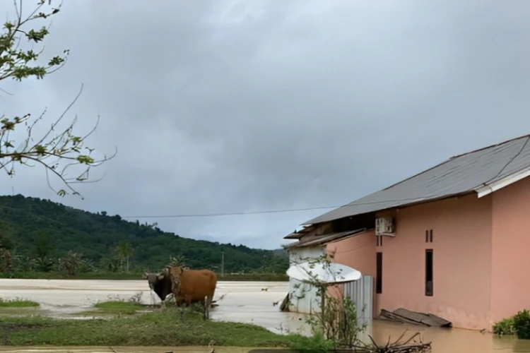 Ket. Foto: BPBD Konawe Menyiapkan Perahu Lipat untuk Warga yang Terdampak Banjir