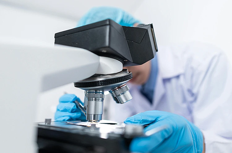 Ilustrasi proses penelitian yang dilakukan oleh Badan Riset dan Inovasi Nasional atau BRIN