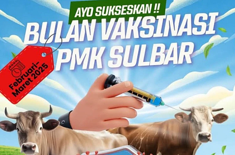 Ket. Foto: DTPHP Sulbar Memvaksinasi 9.000 Ekor Ternak untuk Mengantisipasi Penularan PMK