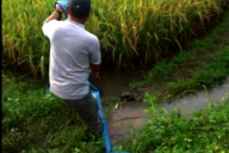 Pompanisasi ditujukan untuk mengairi 1.000.000 hektar lahan sawah di Indonesia