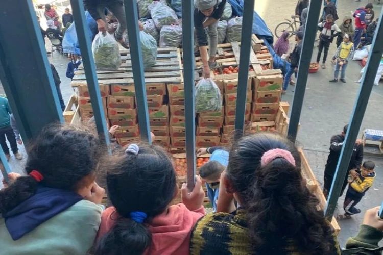 Ket. Foto: Kolombia Telah Meminta ICJ untuk Diizinkan Bergabung dalam Kasus Genosida Jalur Gaza