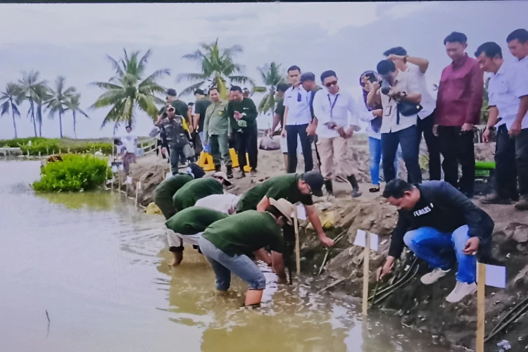 Ket. Foto: DLHK Bulukumba Akan Melakukan Sejumlah Kegiatan dari Tanggal 5 Juni hingga 5 Juli 2024 dalam Rangka Peringatan Hari Lingkungan Hidup Sedunia