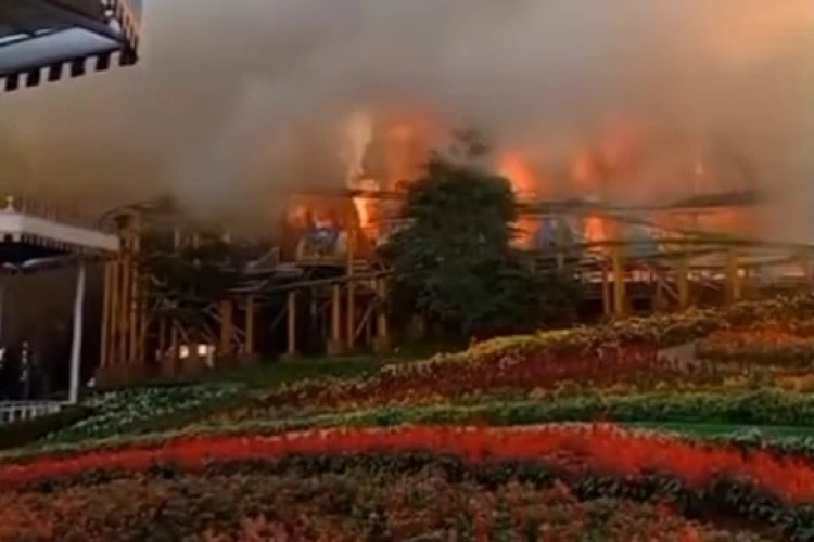 Wisata Taman Bunga Celosia di Bandungan, Kabupaten Semarang mengalami kebakaran.
