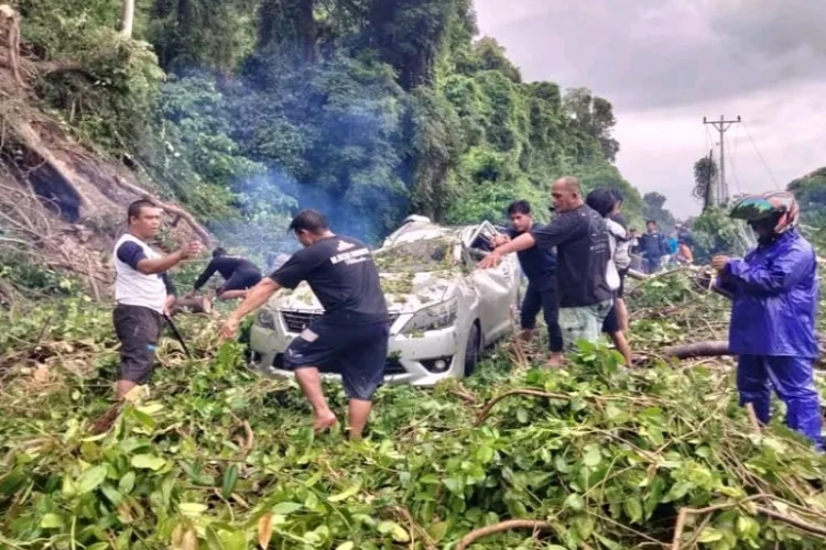 Ket. Foto: 2 Kendaraan Terdampak Bencana Longsor yang Terjadi di di Dusun Ogomojolo Kecamatan Tomini Kabupaten Parigi Moutong