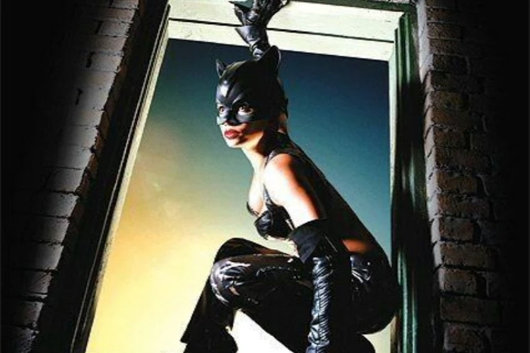 Ket Foto: Sinopsis Film Catwoman (Foto/Pinterest @pinterest)
