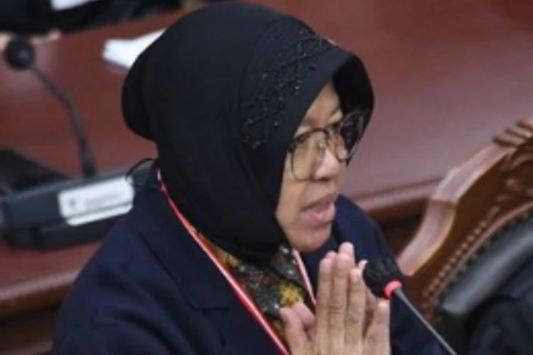 Peran Tri Rismaharini terhadap pasangan calon wali kota dan wakil wali kota pada Pilkada Surabaya tahun 2024
