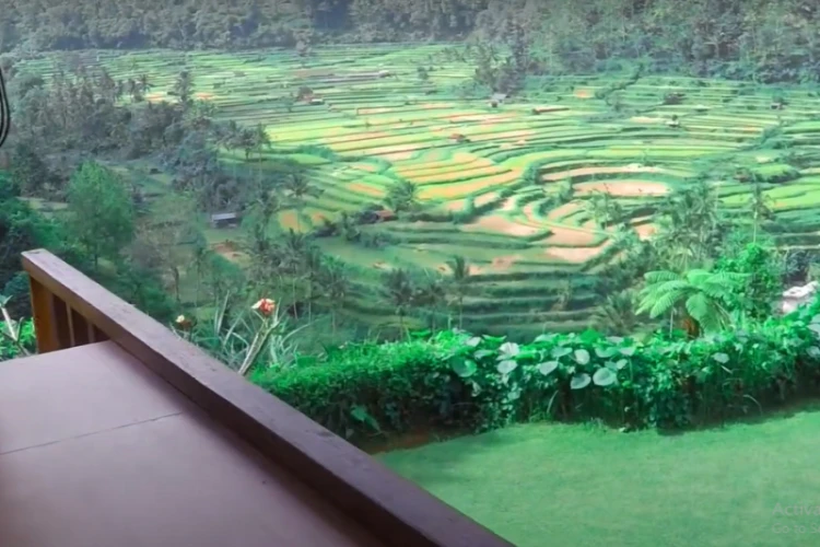 Ket Foto: La Montagne Coffee Bali