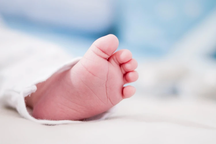 Polisi ungkap penemuan bayi yang masih hidup di Sekitar Makam Keramat Tajur Halang Bogor.