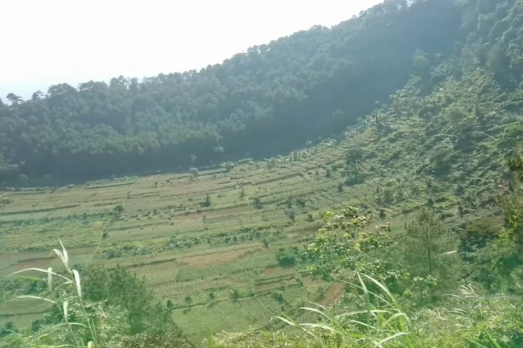 Ket Foto: Gunung Blego yang Terletak di Magetan