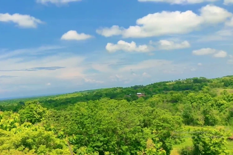 Ket Foto: Gunung Bunter Situbondo