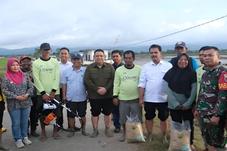 Ket. Foto: Target Penanaman Bulan Juni di Sulawesi Tenggara Dilaporkan Meningkat