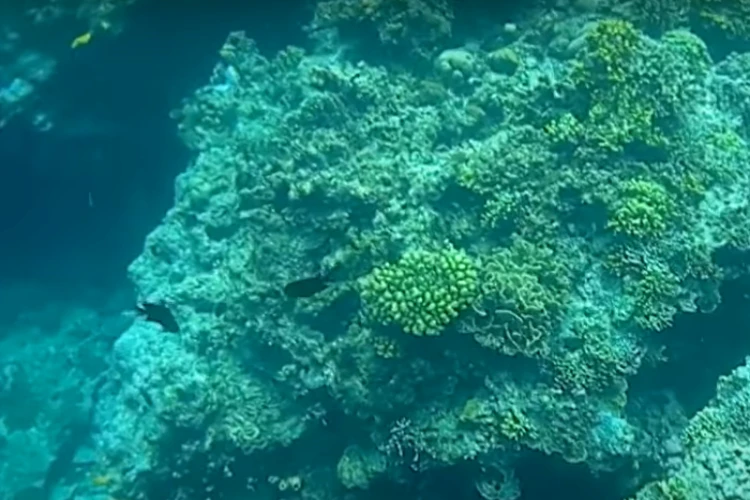 Ket Foto: Taman Laut Bunaken yang Memiliki Banyak Destinasi Menarik