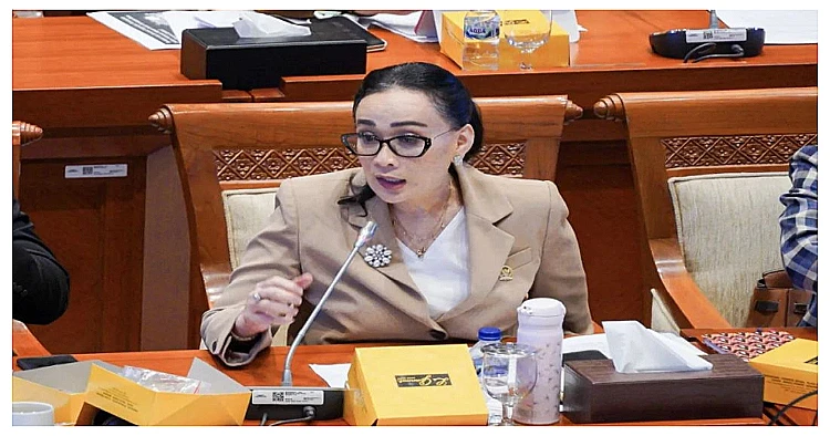 Anggota DPR RI Amelia Anggraini.
