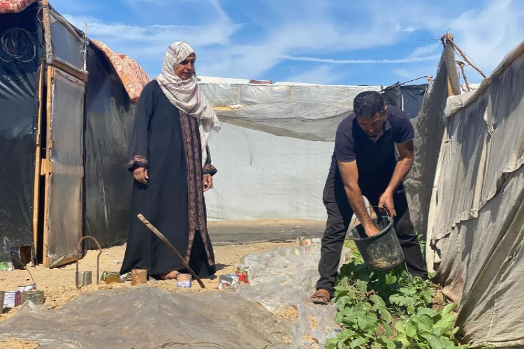 Ket. Foto: 3 Warga Palestina Dibunuh oleh Pasukan Penjajah Israel