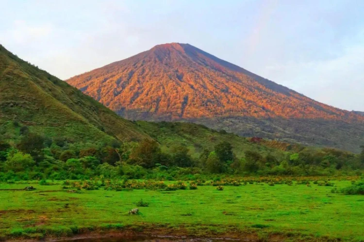 Ket Foto: Foto dari objek wisata Lombok, Savana Dandaun Sembalun (Foto/Web Resmi/jadesta.kemenparekraf.go.id)