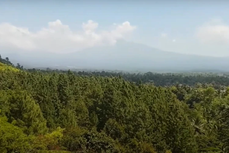 Ket Foto: Bukit Mondoleko yang Terletak di Banyuwangi