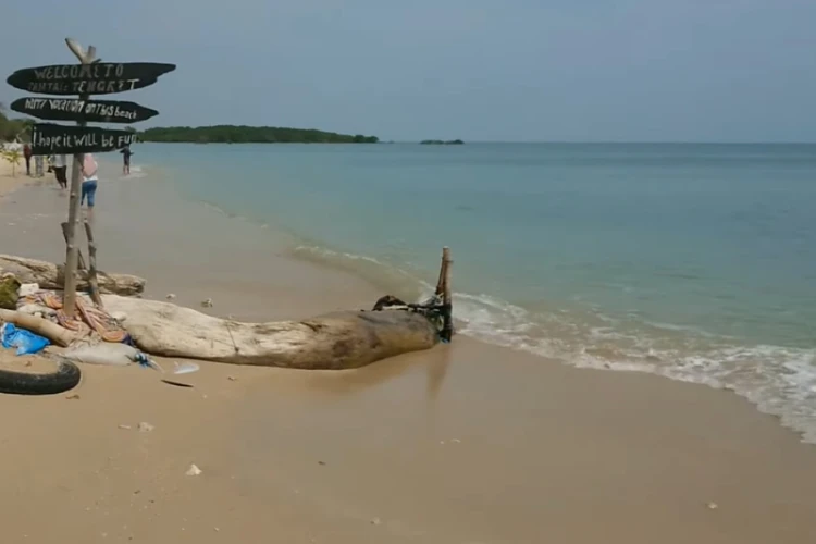 Ket Foto: Pantai Tengket di Jawa Timur
