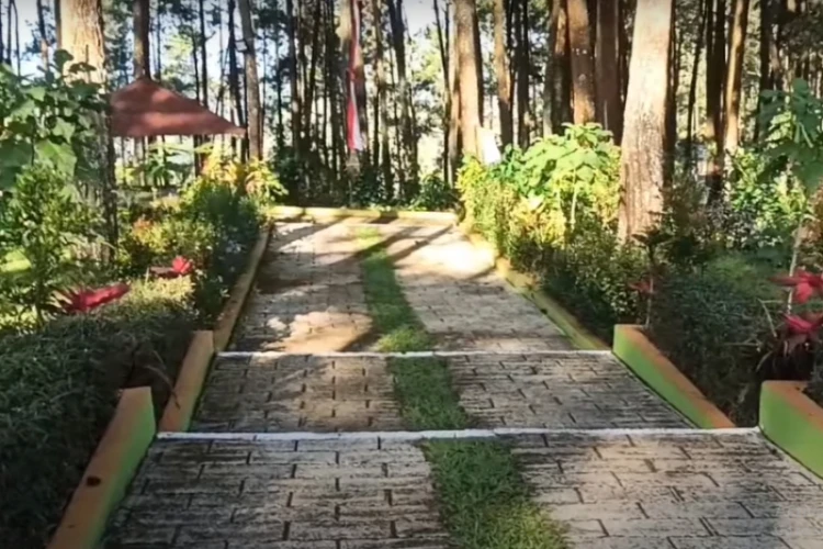 Ket Foto: Bumi Perkemahan Alastuwo di Jawa Timur