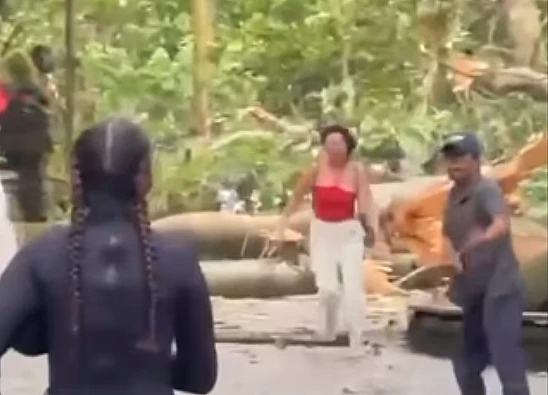 Tangkap layar video rekaman yang menampilkan momen saat pohon tumbang di monkey forest Ubud Bali