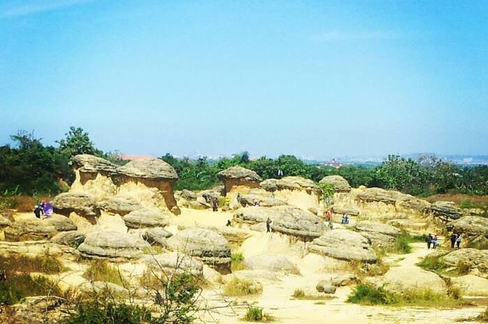 <p>Ket Foto: Foto Bukit Jamur (Foto/Instagram/@rivaldyansah)</p>
