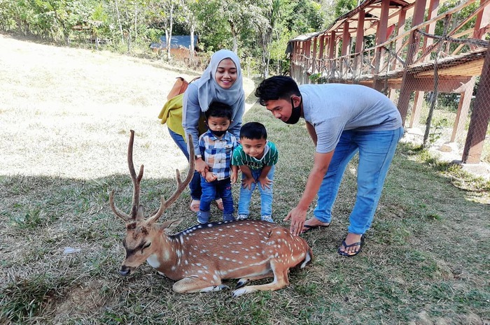 <p>Ket Foto: Pesona Penangkaran Rusa Giri Jaya Cariu Bogor (Foto/Instagram/@meylamustika)</p>
