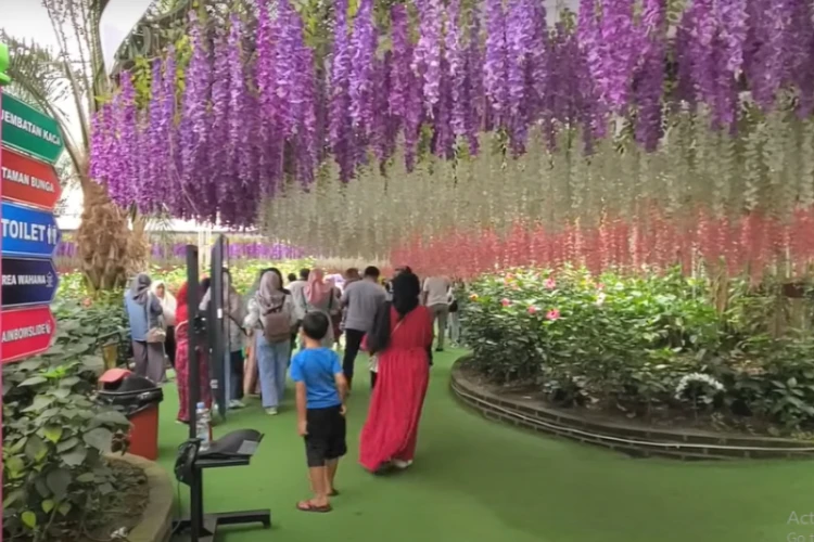 Ket Foto: Taman Bunga New Celosia di Semarang