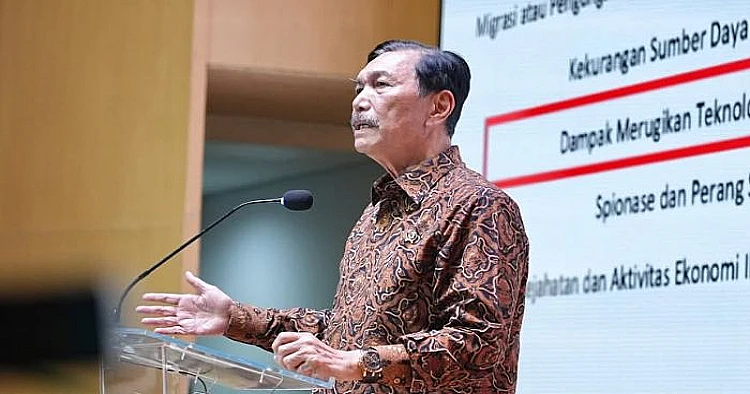 Potret Ketua Dewan Ekonomi Nasional (DEN), Luhut Binsar Pandjaitan