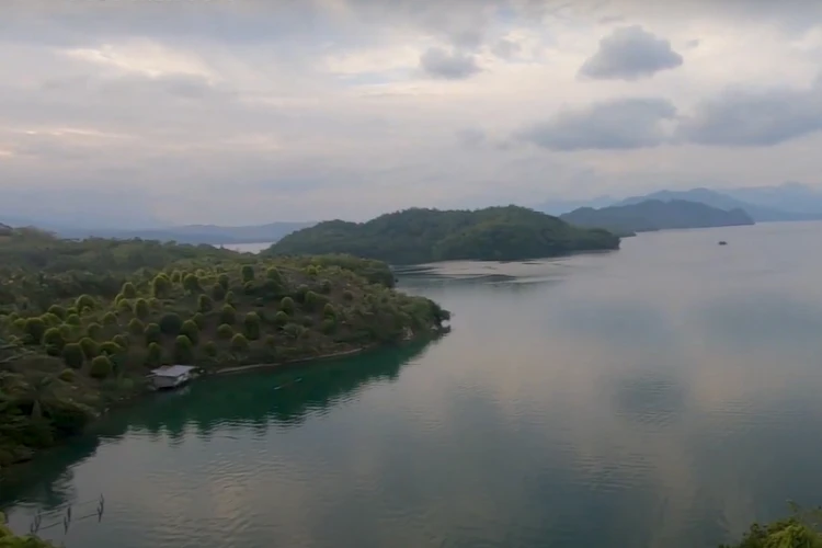 Ket Foto: Cagar Alam Morowali di Sulawesi Tengah