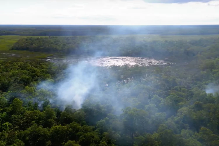 Ket Foto: Taman Nasional Wasur di Kabupaten Merauke, Papua