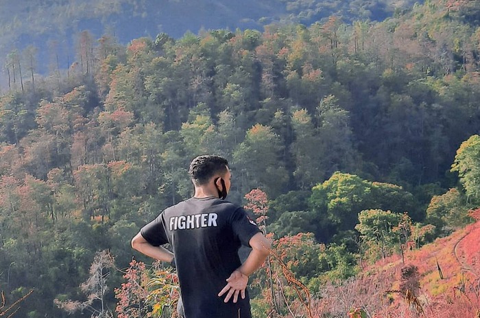 <p>Ket Foto: Pesona Bukit Salju Ngetos Nganjuk (Foto/Instagram/@pesonawisatanganjuk)	</p>
