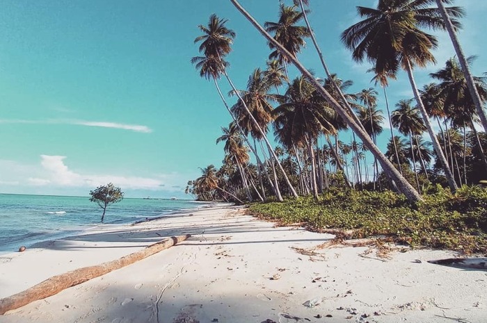 <p>Ket Foto: Foto Pantai Biduk-Biduk (Foto/Instagram/@supriadi_satria)</p>
