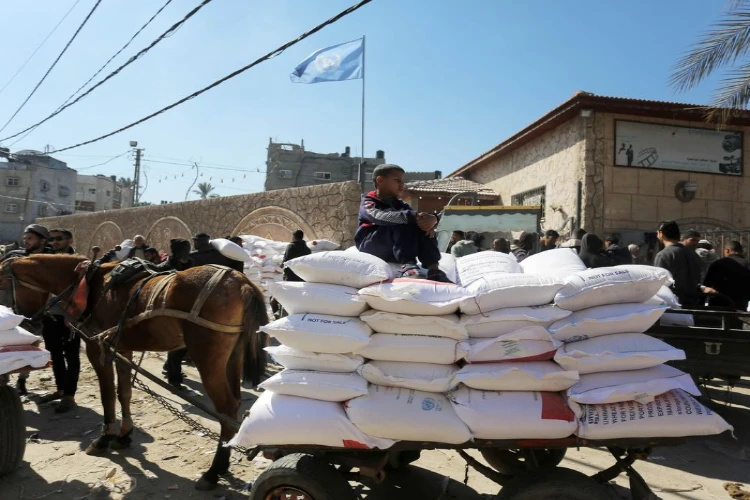 Ket. Foto: Doctors Without Borders menegaskan jika serangan darat di Rafah oleh pasukan penjajah Israel tidak boleh untuk dilanjutkan