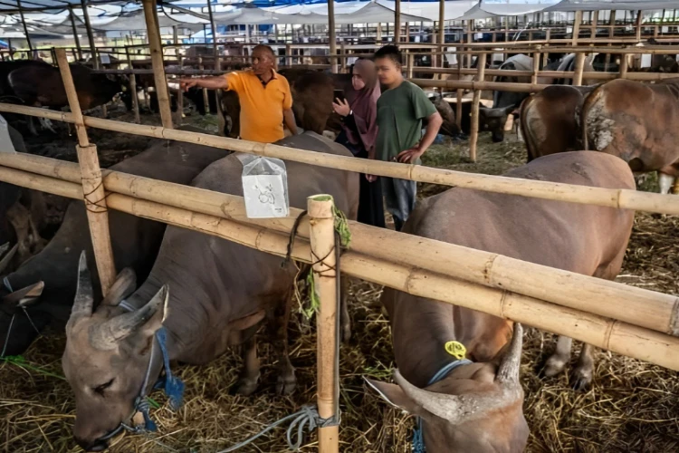Ket. Foto: Dinas Lingkungan Hidup Jakarta Menggencarkan Kampanye Tidak Menggunakan Kantong Plastik Sekali Pakai untuk Hari Raya Idul Adha 2024