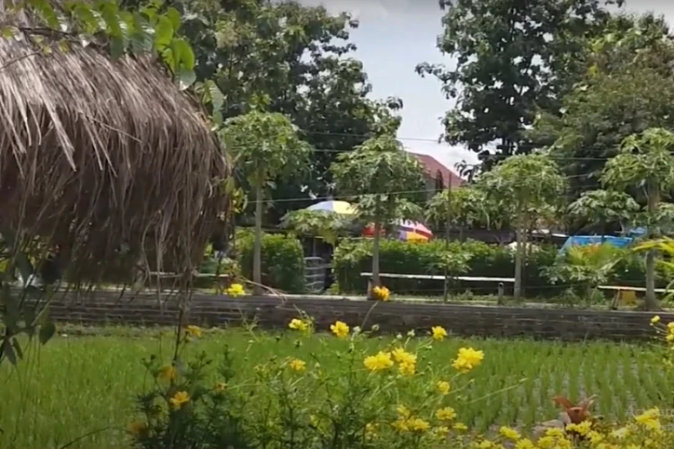 Ket Foto: Taman Wisata Bantaran Kali Poyo